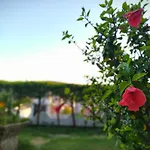 Yalcin Çeşme