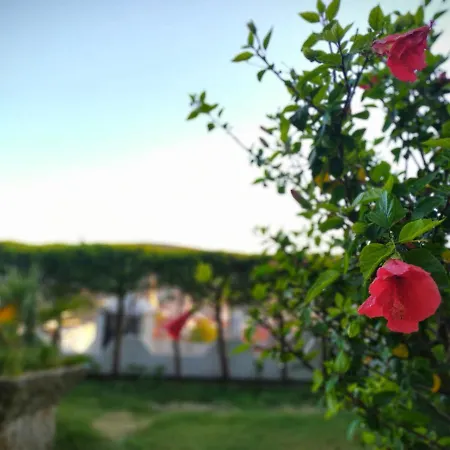 يالسين Çeşme