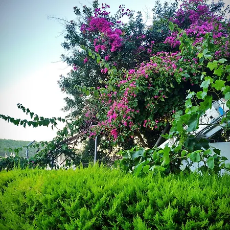 فندق يالسين